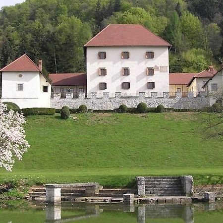 Grad Strmol Cerklje na Gorenjskem Exterior foto